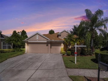 23815 ESTERO CT, LAND O LAKES, 34639 FL