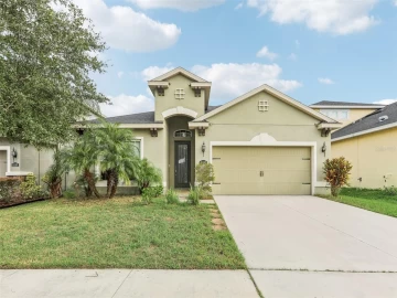 11105 SPRING POINT CIR, RIVERVIEW, 33579 FL