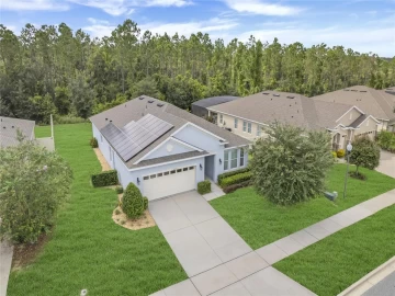 4420 LINWOOD TRACE LN, CLERMONT, 34711 FL